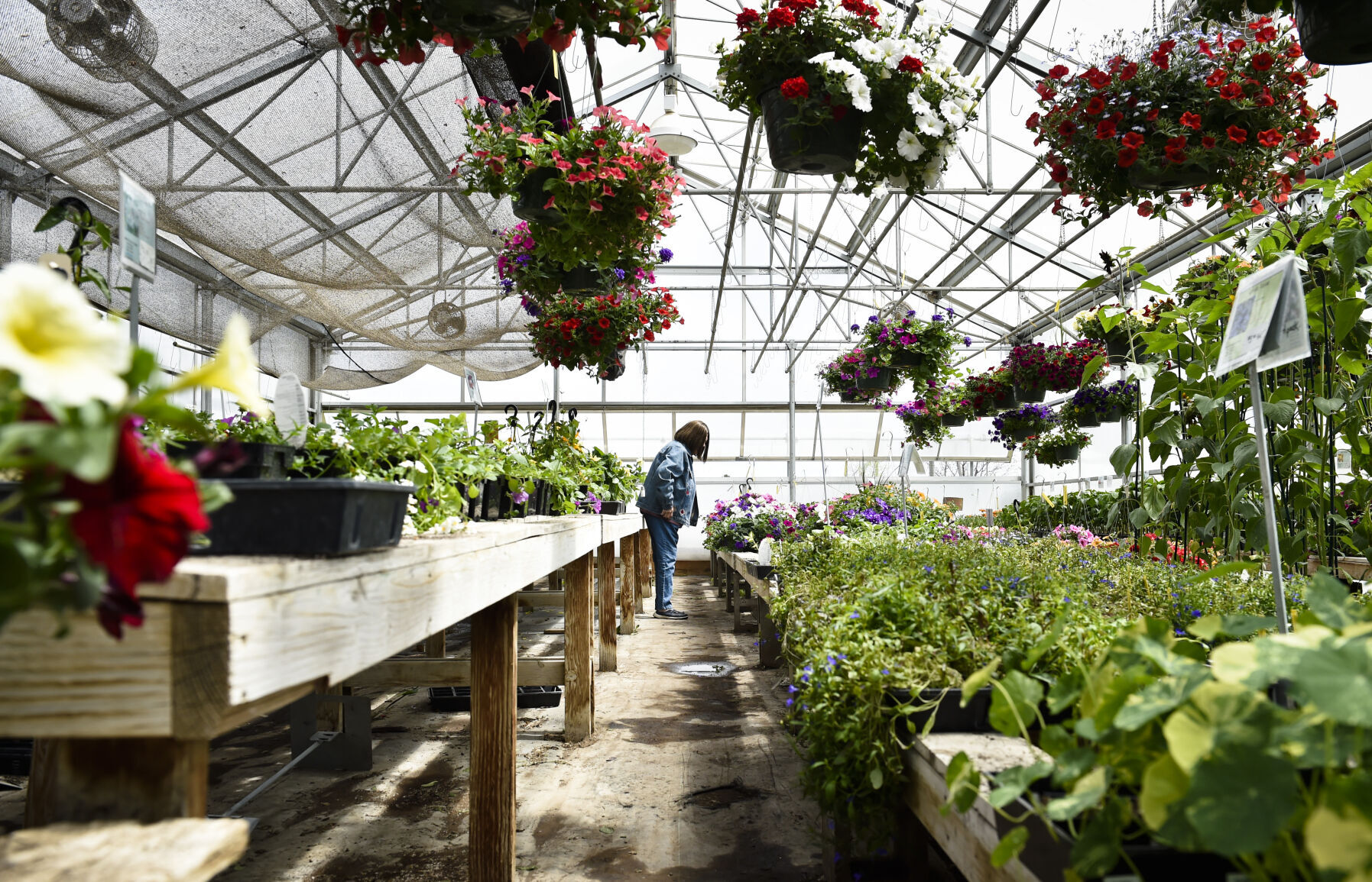 Johnson's Nursery and Gardens